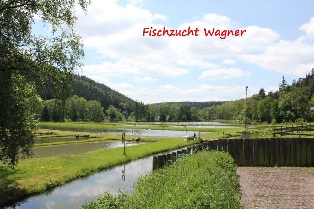Blick über die Teichanlage der Fischzucht Wagner
