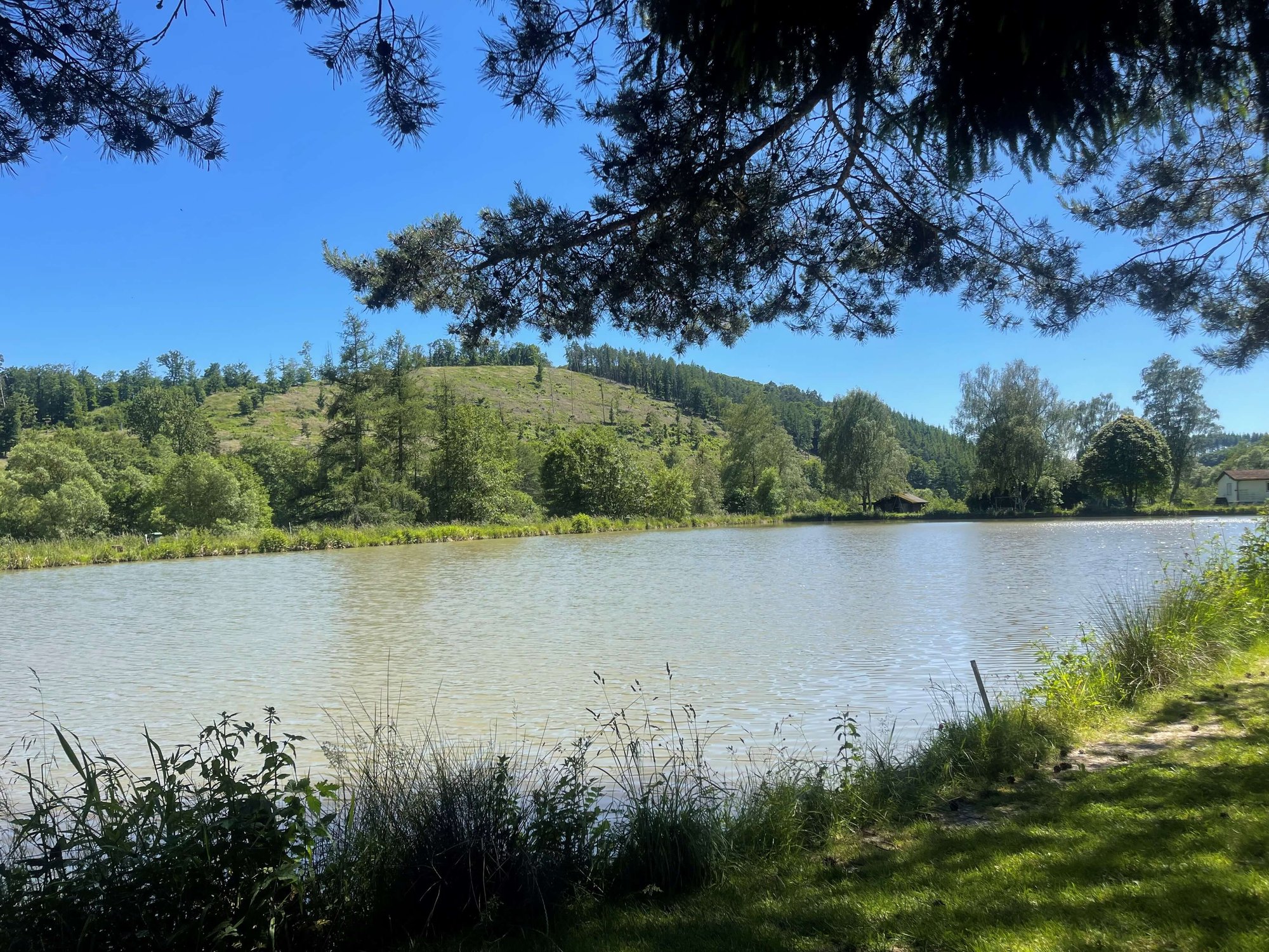 Uferblick über den Angelteich der Fischzucht Wagner
