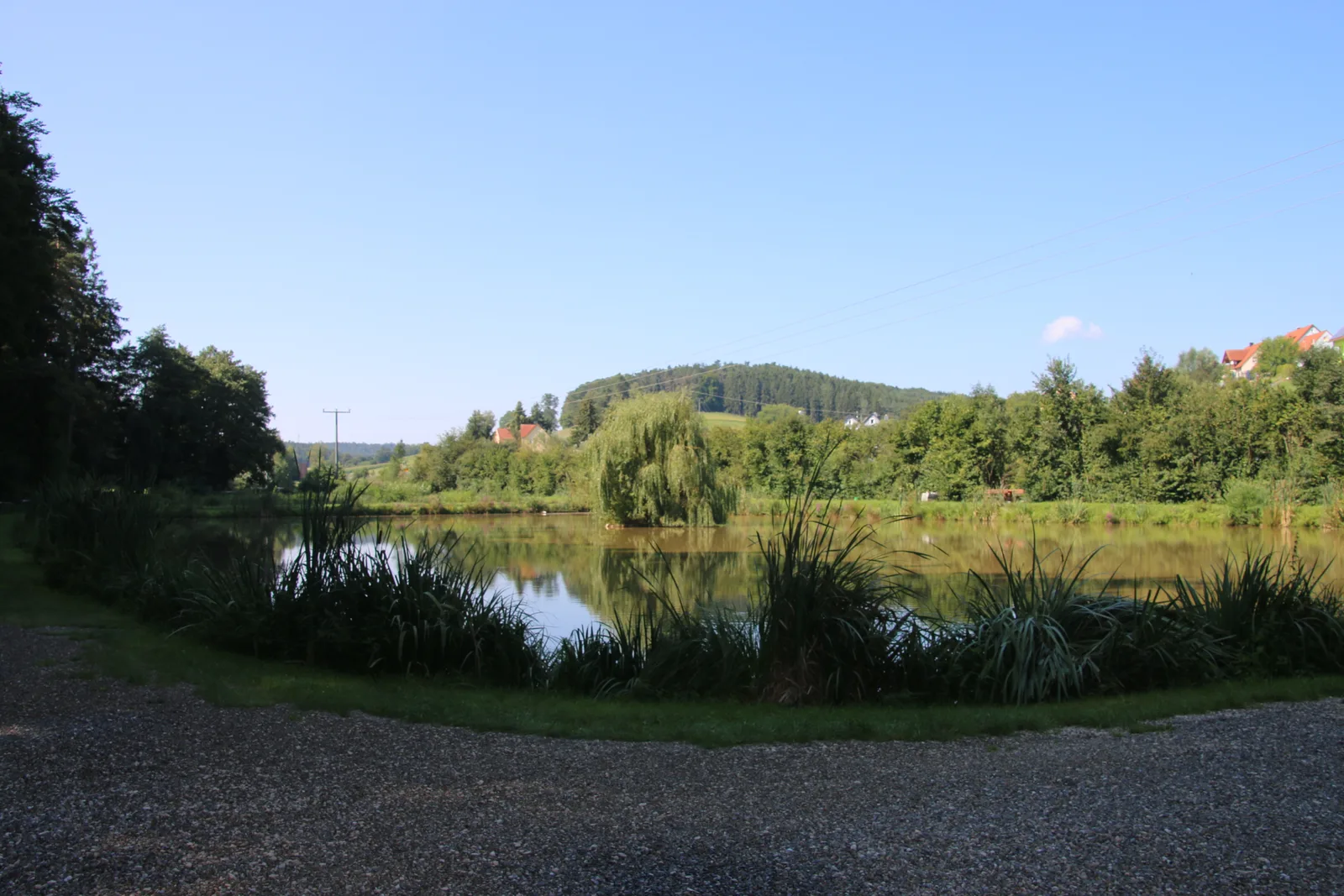 Angelurlaub Bayern eig. Angelsee Ferienwohnung, Bild 9