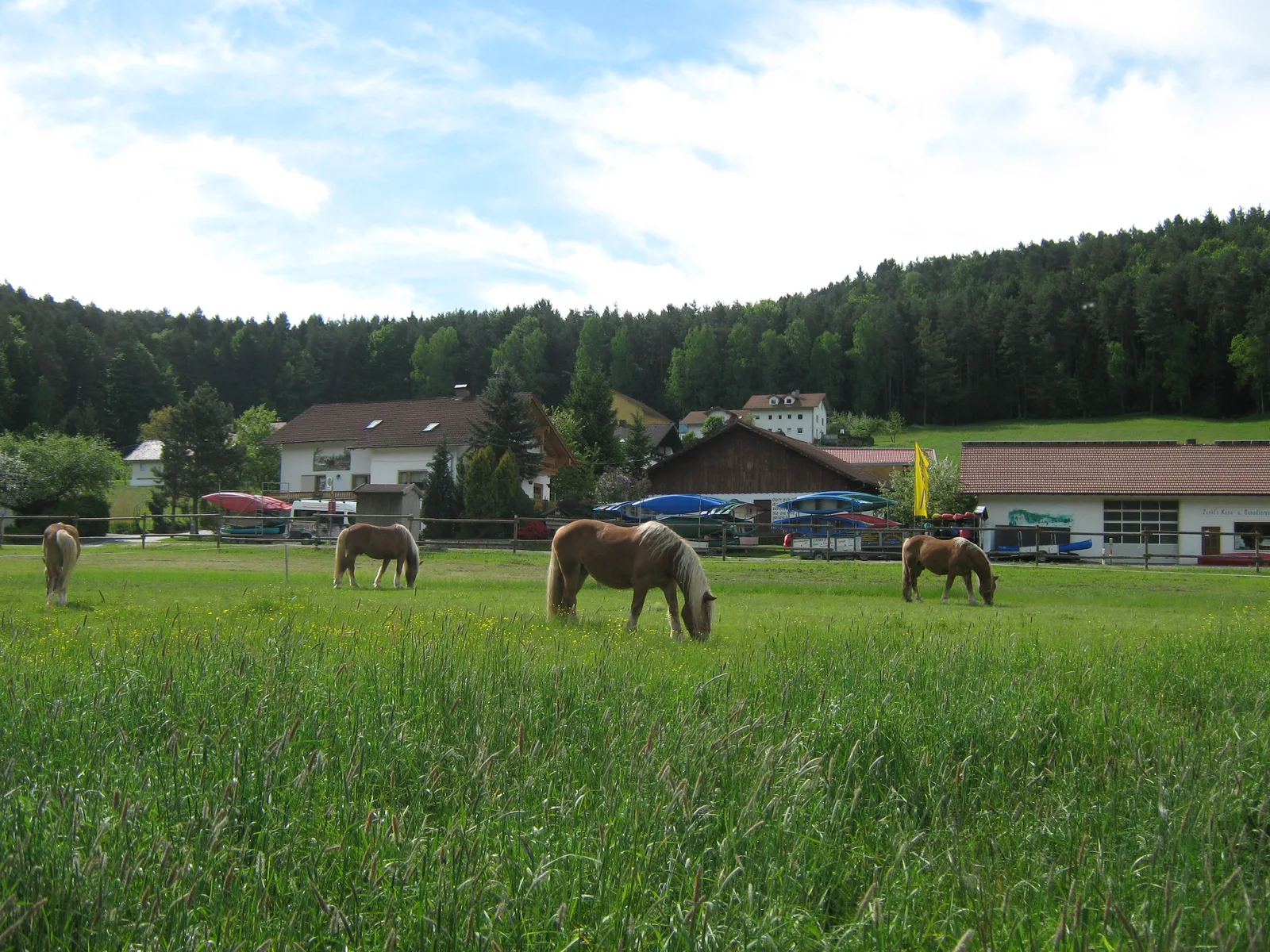 Ferien- & Pferdehof, Bild 3