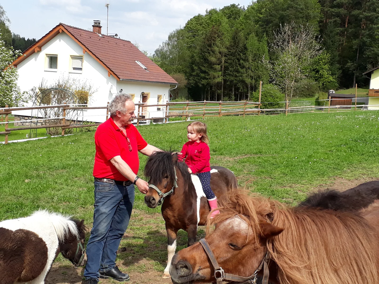 Ferien- & Pferdehof, Bild 10