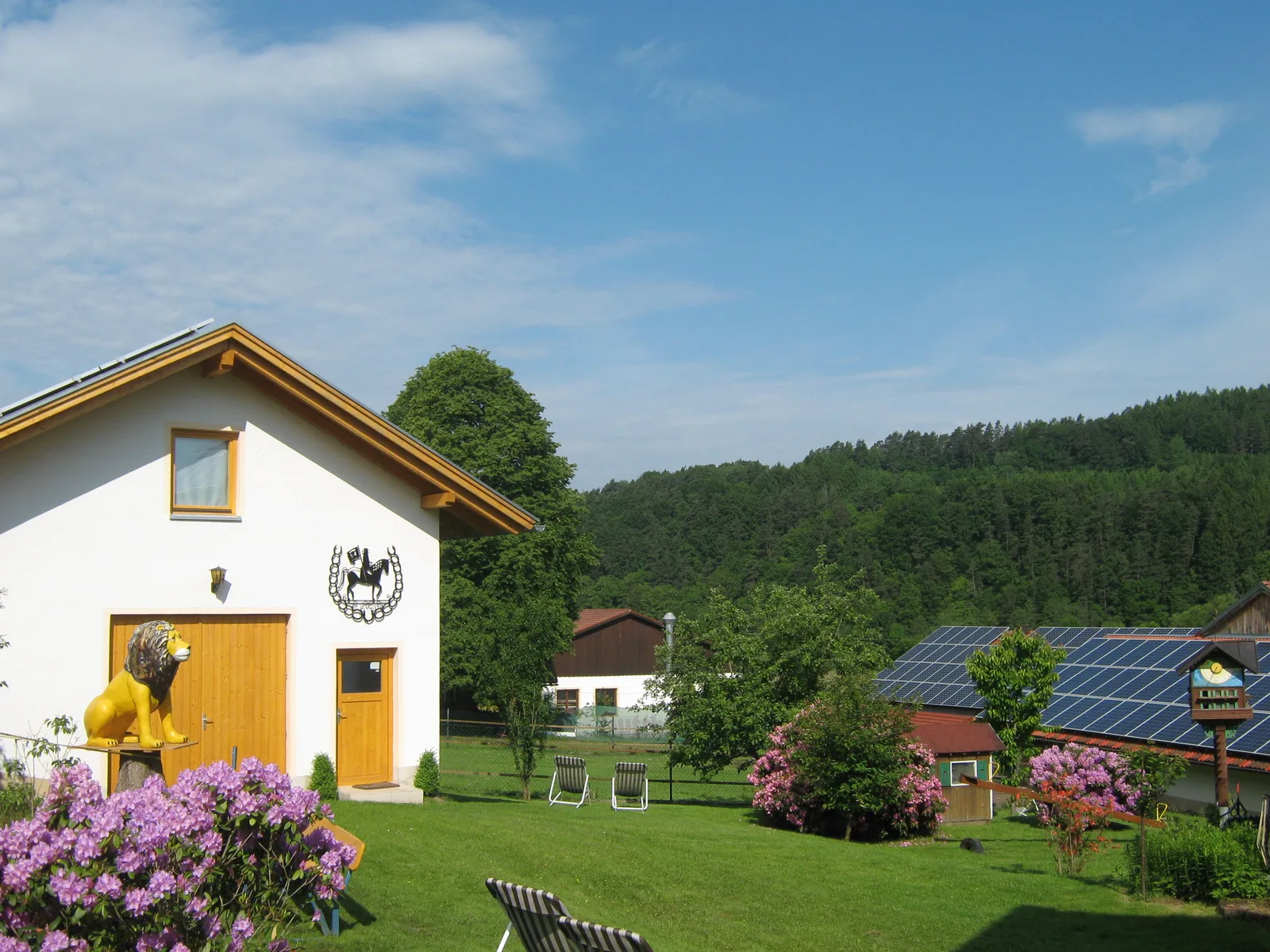 Ferien- & Pferdehof, Bild 15