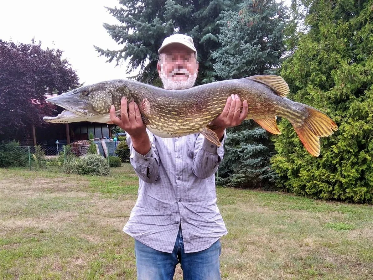 Ferienhaus direkt am Oberuckersee, Bild 9