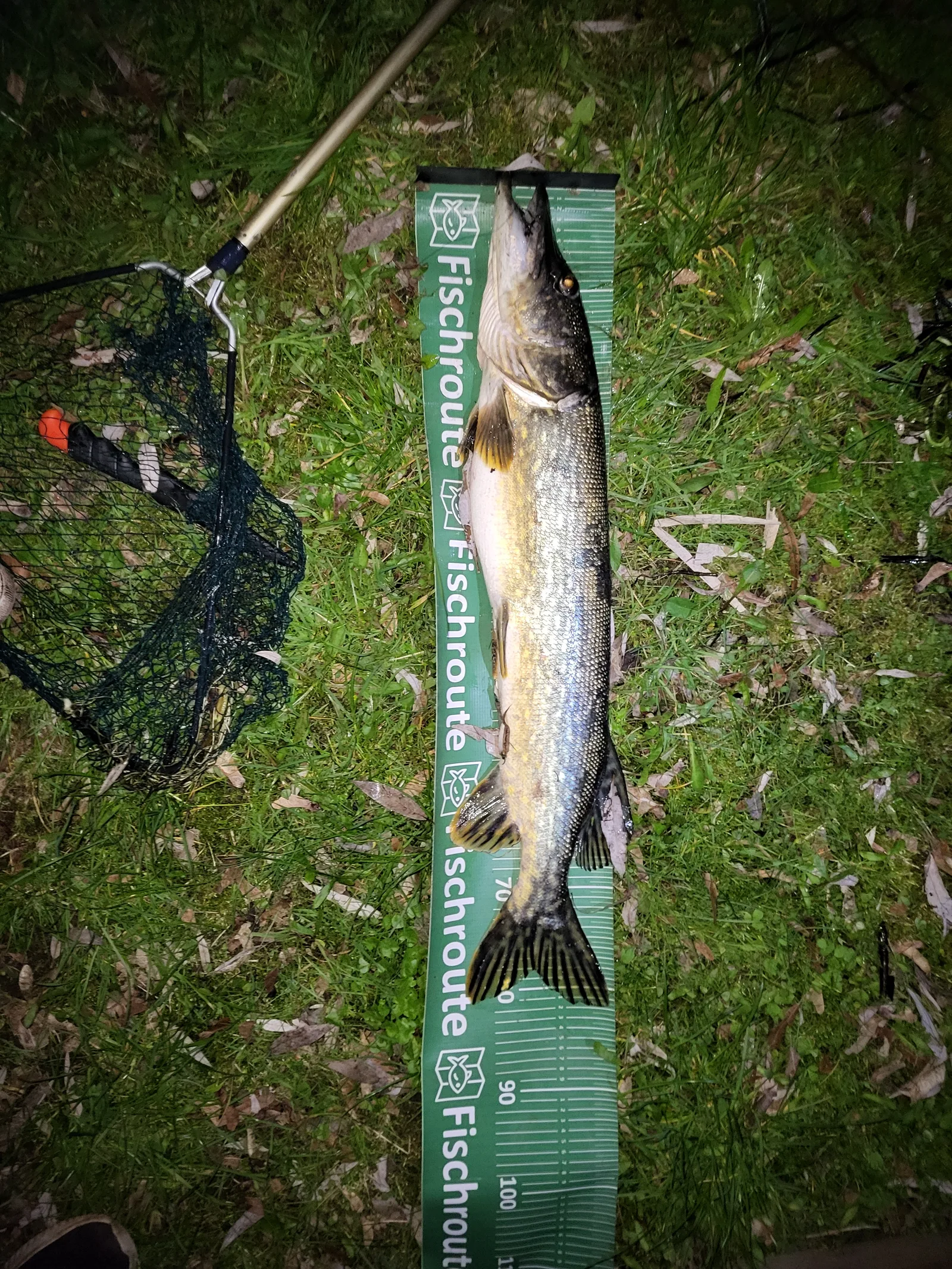 Ferienwohnung an der Alten Oder, Bild 10