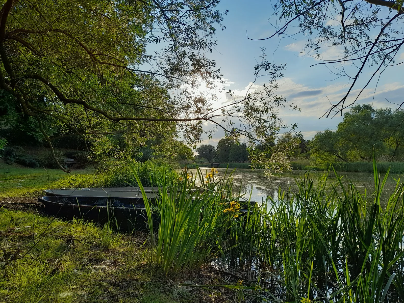 Ferienwohnung an der Alten Oder, Bild 9