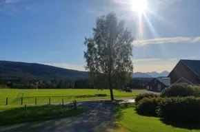 FEWO "Gjeitnes" (DHH) in Rovik / West – Norwegen (16km von Molde entfernt), Bild 10