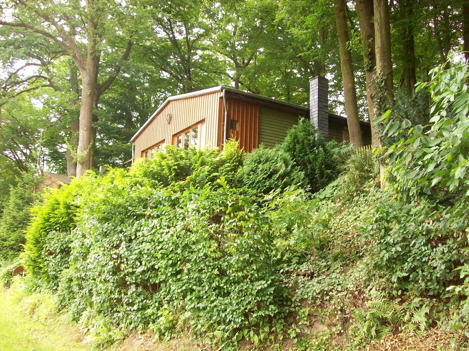Waldhaus Hochstein, Bild 1