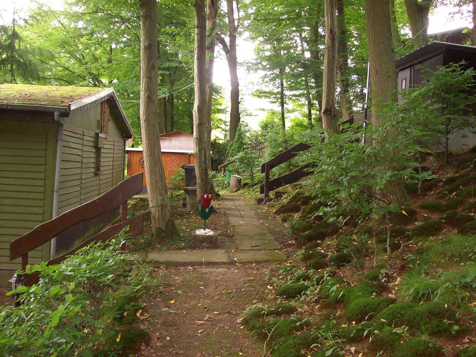 Waldhaus Hochstein, Bild 4