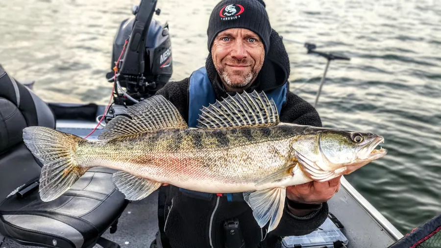 Kai Schlagheck mit einem Zander auf dem Boot