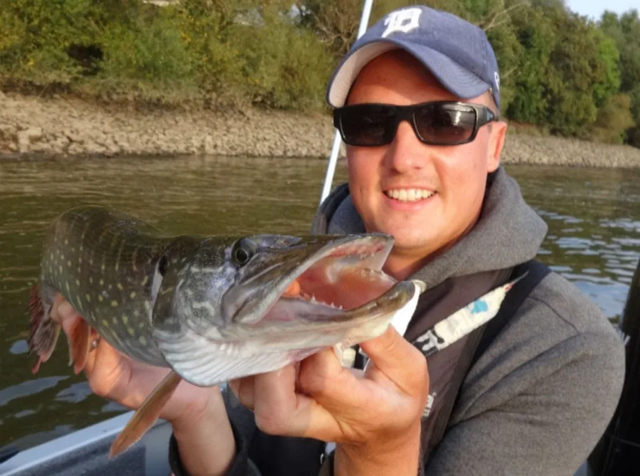 Hecht, gefangen beim Guiding auf der Elbe