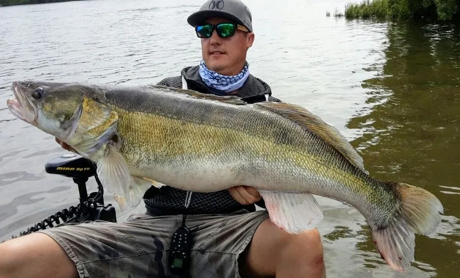 Stephan Kadner mit einem kapitalen Zander vom Boot