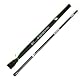 Zite Fishing Stipprute 4 m – Teleskoprute Stippe Glasfaser mit Spitzenring