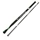 Zite Fishing Stipprute 3 m – Teleskoprute Stippe Glasfaser mit Spitzenring