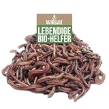 Natursache Kompostwurm-Mix 250 STK./Box + E-Book I Mit 3 Arten lebenden Kompostwürmer I Für eine schnelle & nachhaltige Kompostierung in Schnellkomposter, Thermokomposter und Wurmkomposter etc. Natursache Kompostwurm-Mix 250 STK./Box + E-Book I Mit 3 Arten lebenden Kompostwürmer I Für eine schnelle & nachhaltige Kompostierung in Schnellkomposter, Thermokomposter und Wurmkomposter etc.