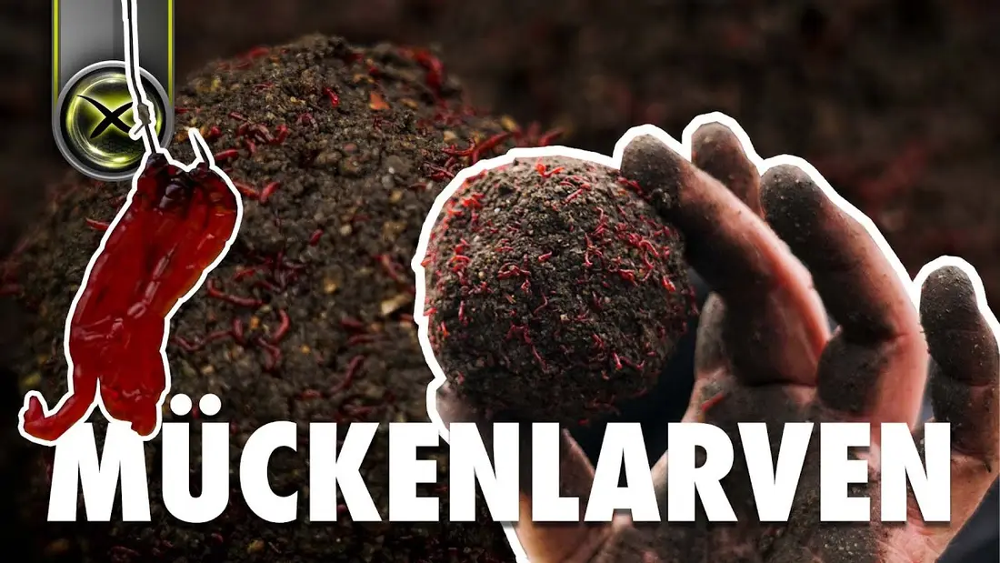 Vorschaubild: MÜCKENLARVEN - JOKER für den Winter -  Das musst du wissen!