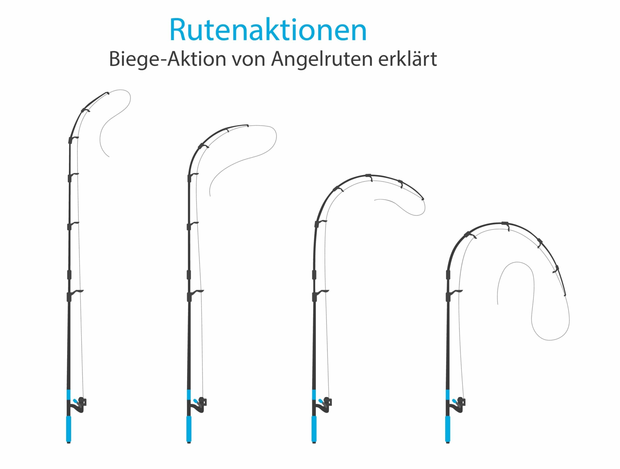 Angelruten TypenRatgeber & Übersicht Angelmagazin.de