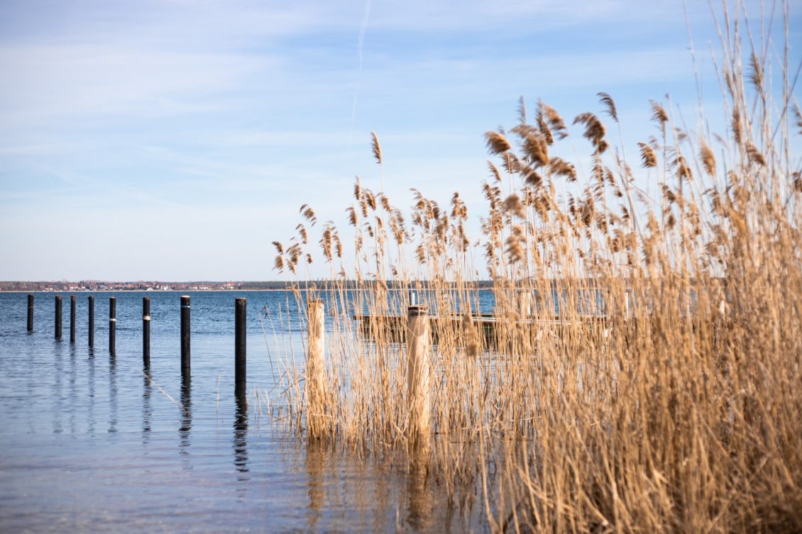 Angeln am großen Goitzschesee