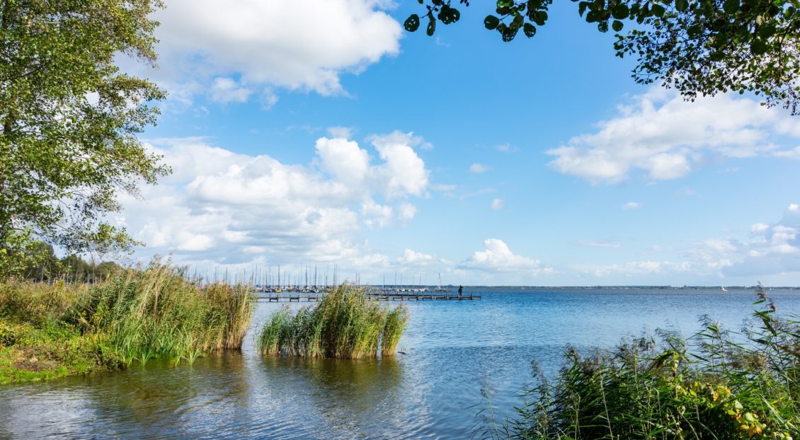 Angeln am Steinhuder Meer