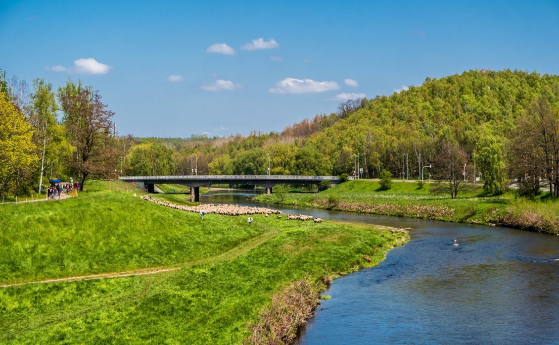 Angeln an der Zwickauer Mulde, Sachsen