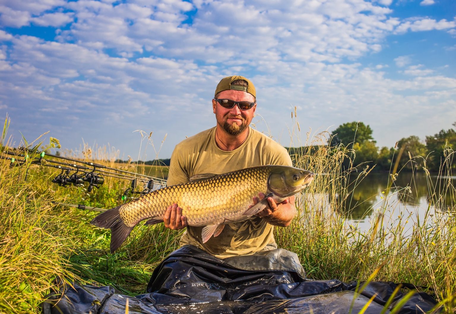 51+ Graskarpfen Wie Viele Pro Teich, Daher sollte man in einem